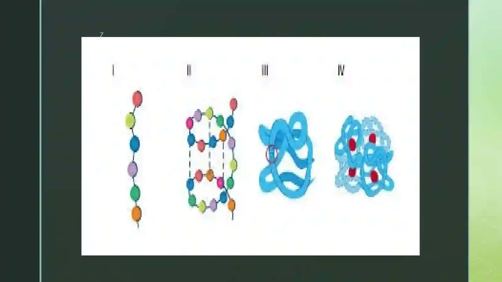 BiologikkimyofanigakirishAminokislotalarningsinflanishioqsillartuzilishi 3