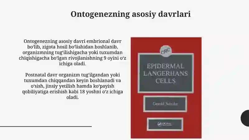Ontogenezdavrlari 3