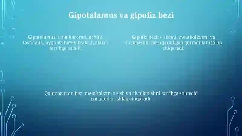 Ichki Sekretsiya Bezlari Fiziologiyasi 3