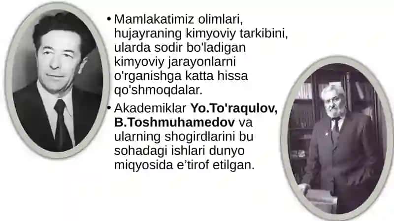 Hujayraning kimyoviy tarkibi 3