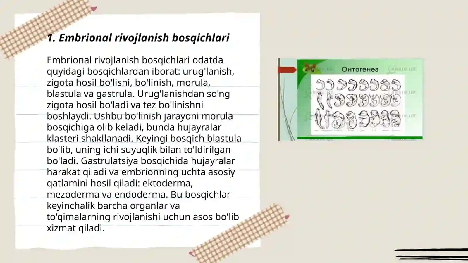 Inson pisixikasining ontogenezda rivojlanishi 3
