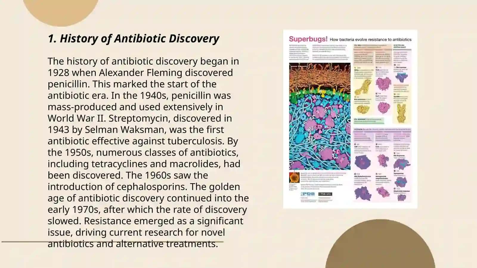 The Role of Antibiotics and the Rise of Superbugs 3