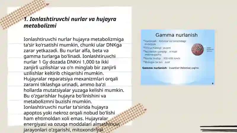 Ionlashtiruvchi nurlar biologik effekti 3