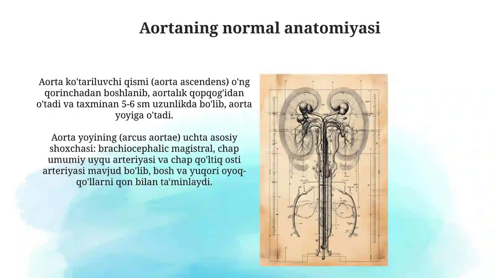 Aorta rivojlanishi va uninganatomikvariantlari 3