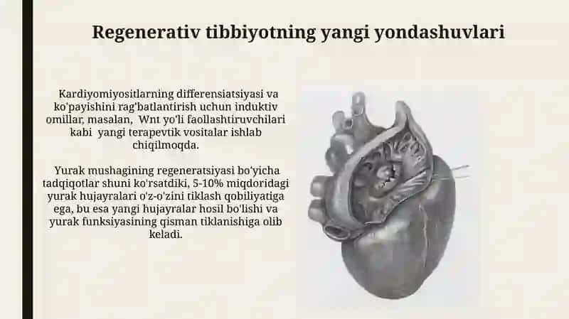 Yurak mushagi regeneratsiyasi 3
