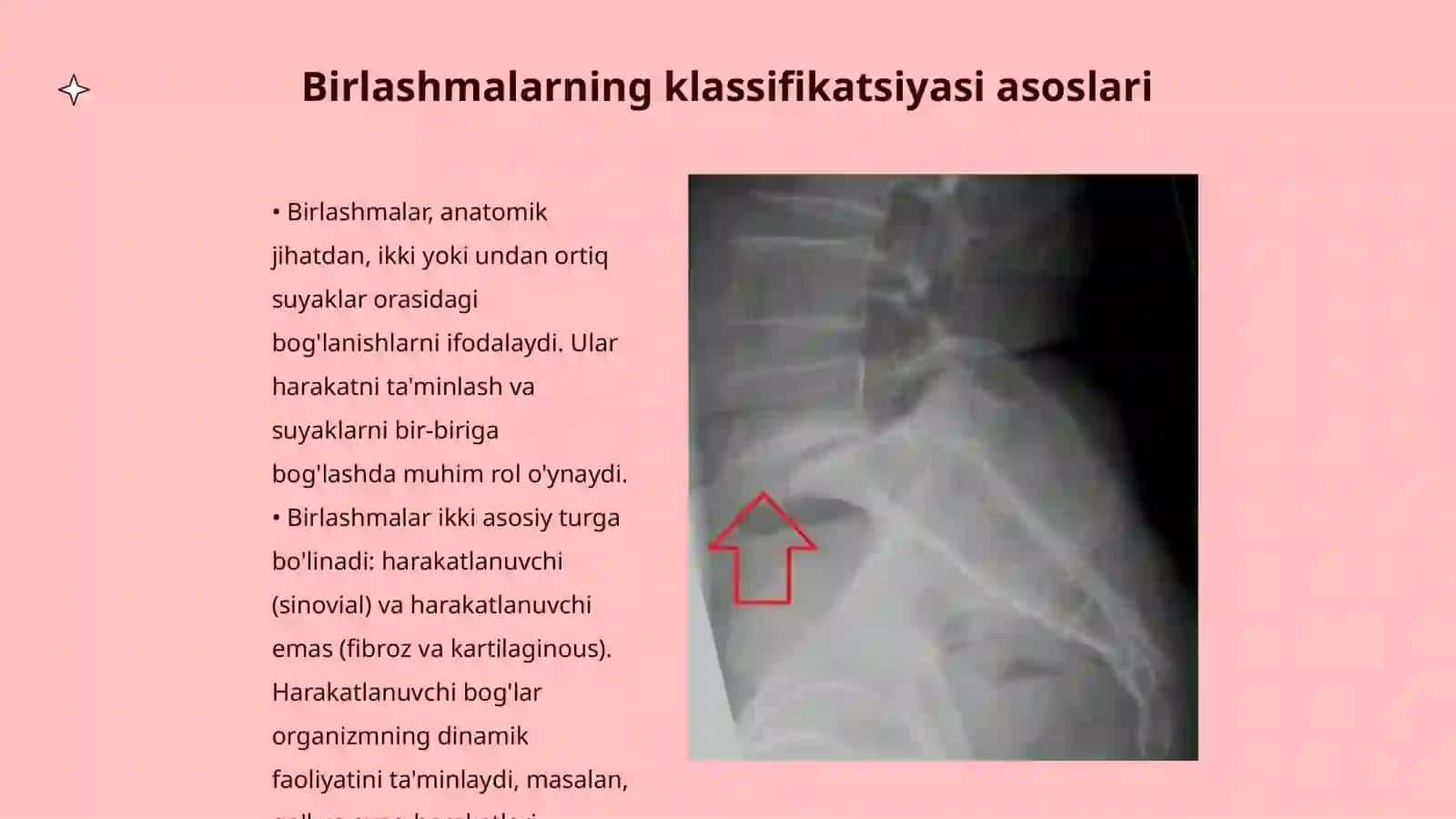 Birlashmalarning klassifikatsiyasi. Umurtqa pogonasi. Ensa-atlant va atlant-oq bogimi. yelka kamari va qol bogimlari. Muskullar klassifikatsiyasi. Bosh va boyin muskullari 3