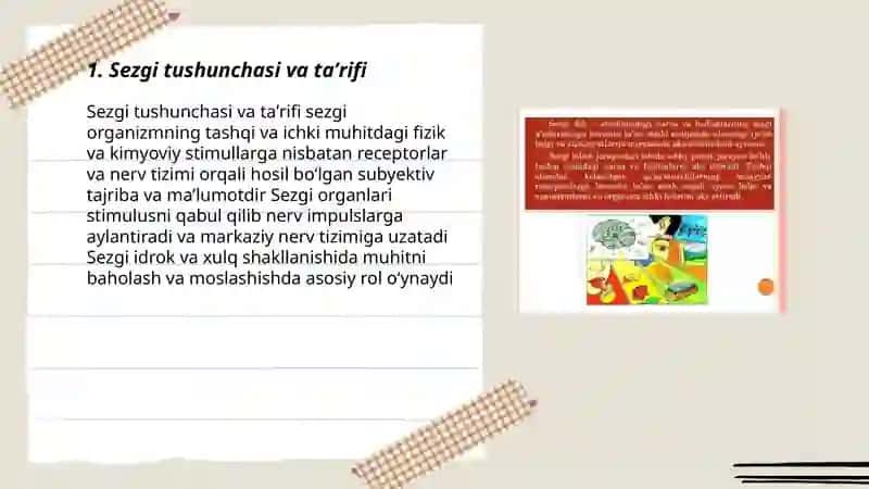 Sezgi 3