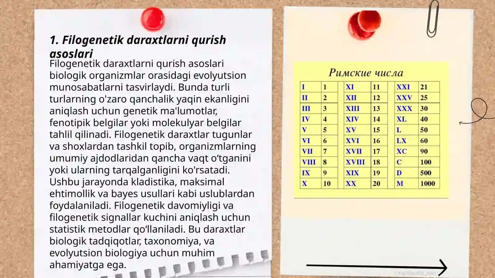 Filogenetik daraxtlarni tuzish algoritmlari 3