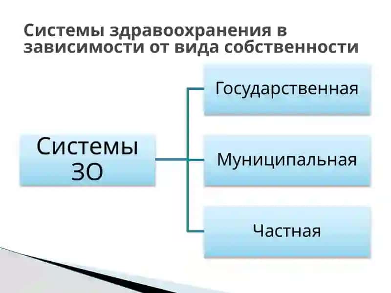 Организация управления фармацевтическими организациями 3