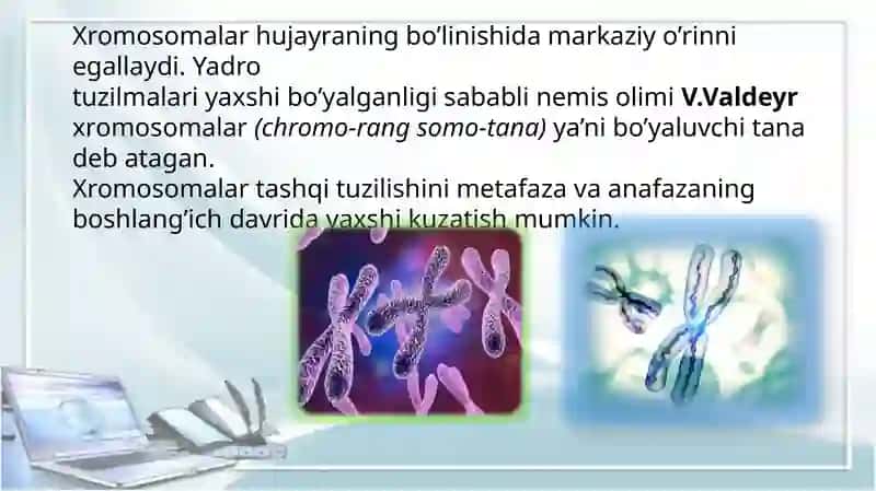 Xromosoma. Xromosomalarning molekulyar tuzilishi 3