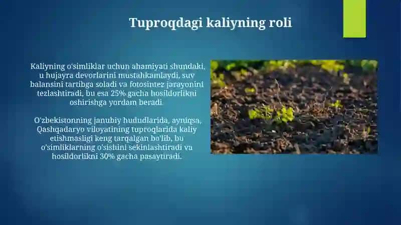 Kaliyning oʻsimliklar uchun ahamiyati va uning tuproqdagi miqdori 3