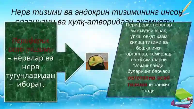 Hulq-atvorningpsixofiziologikasosi 3