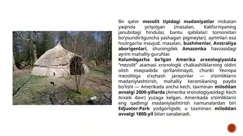 Mezolitdavri 3