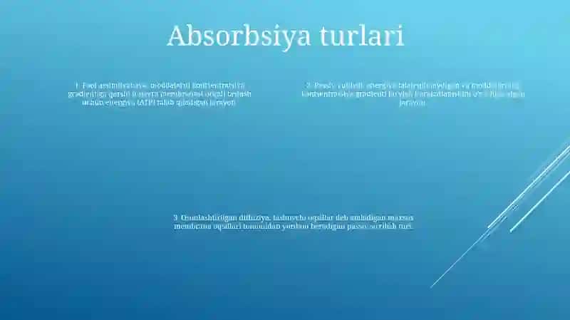 Absorsbsiya 3