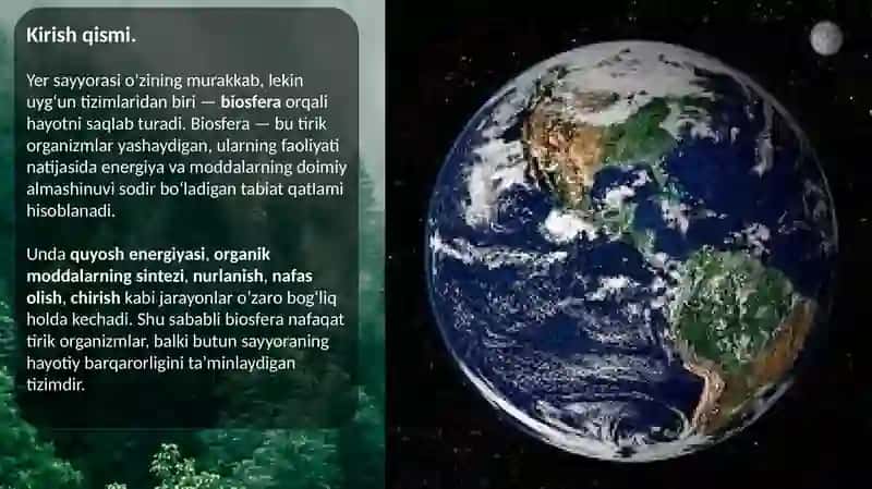 Ekalogiyafanidan taqdimot loyihasi 3