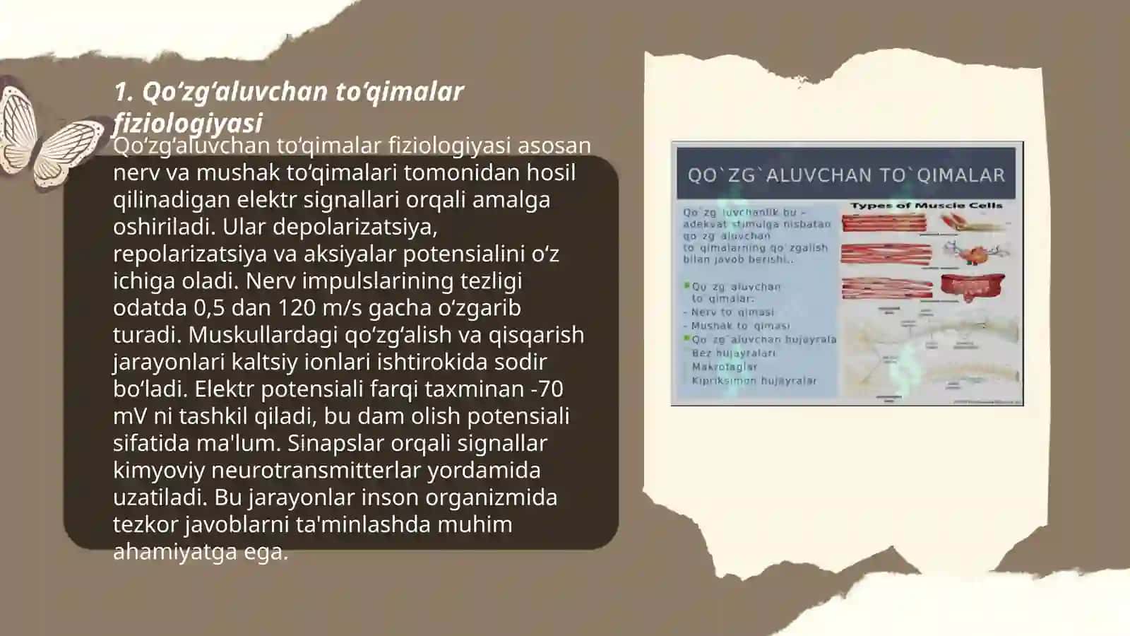 Qo‘zg‘aluvchan to‘qimalar fiziologiyasi 3