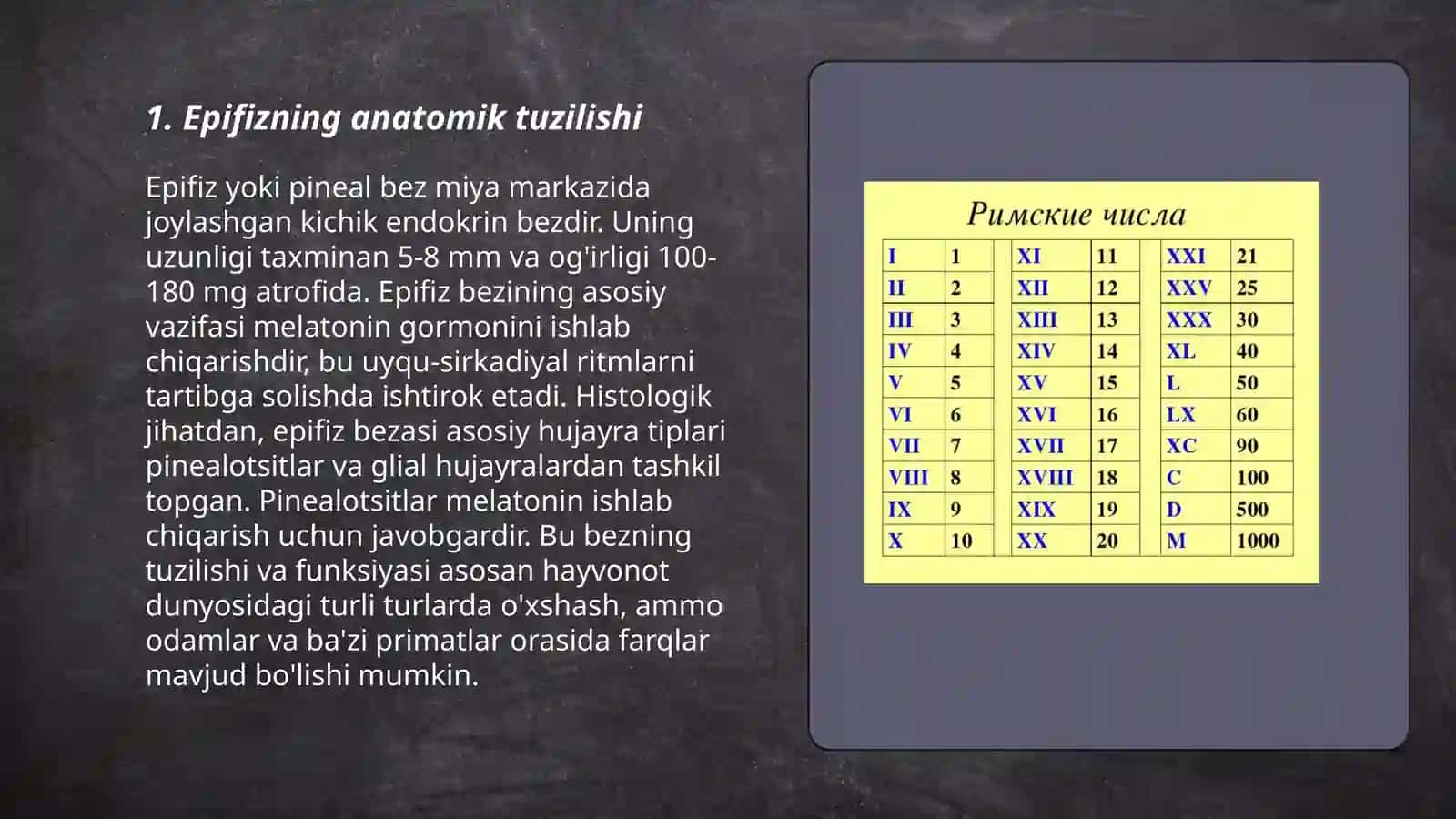 Ichki sekretsiya bezlarini tekshirish usullari. Epifiz 3