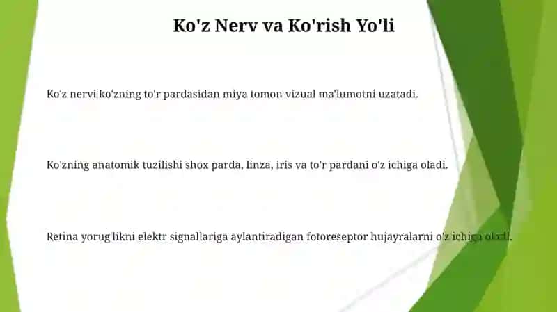 Novdaning morfologik va anatomik tushilishi 3