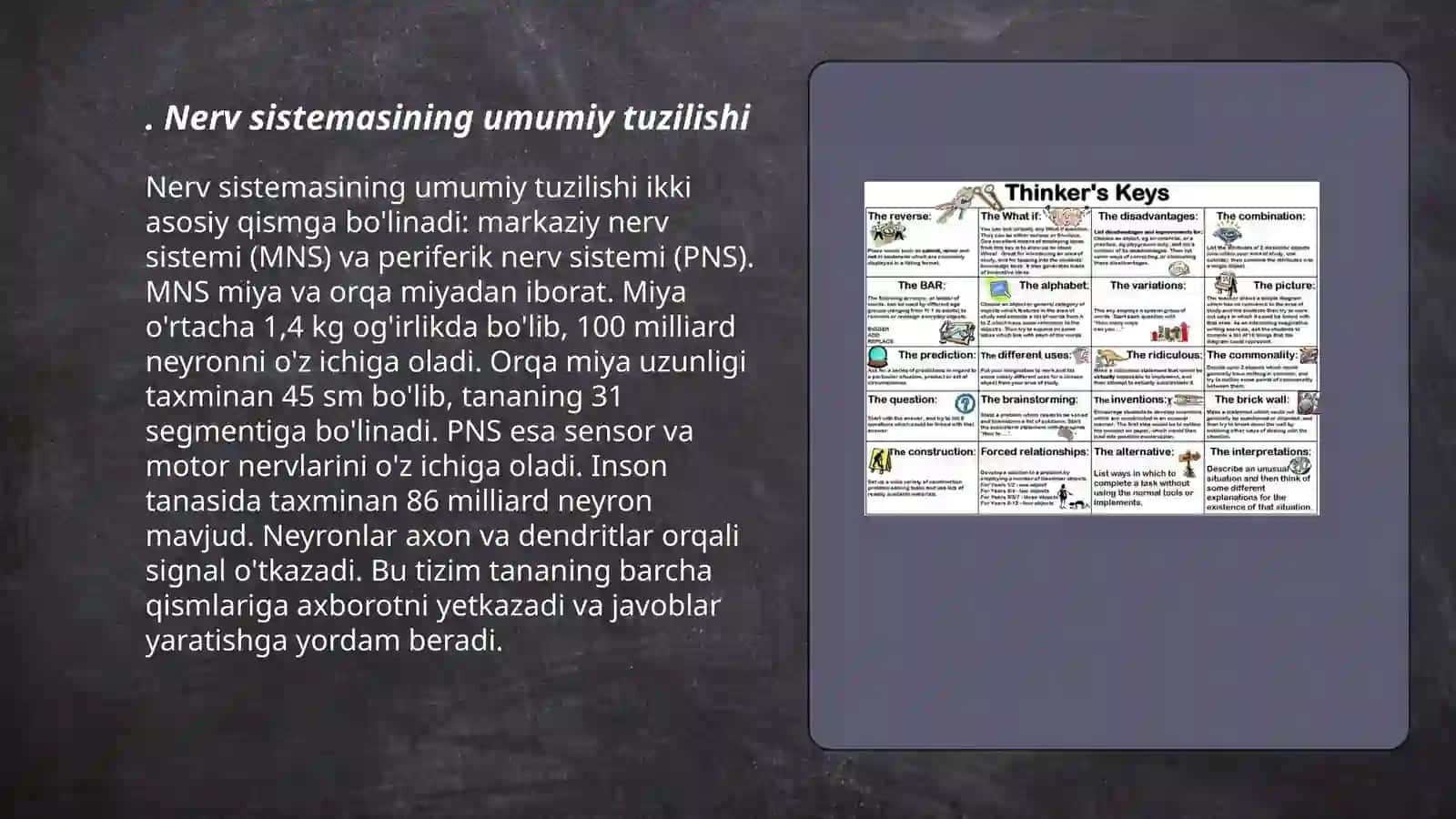Nerv sistemasining umumiy tuzilishi 3