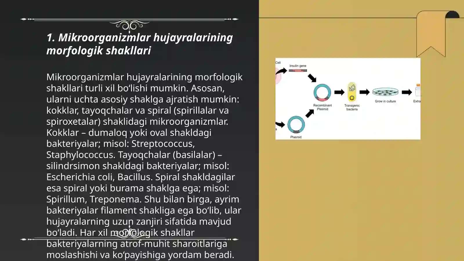 Sanoatda ishlatiladigan mikroorganizmlarning hujayralarining shakllari. Sterillash usullari 3