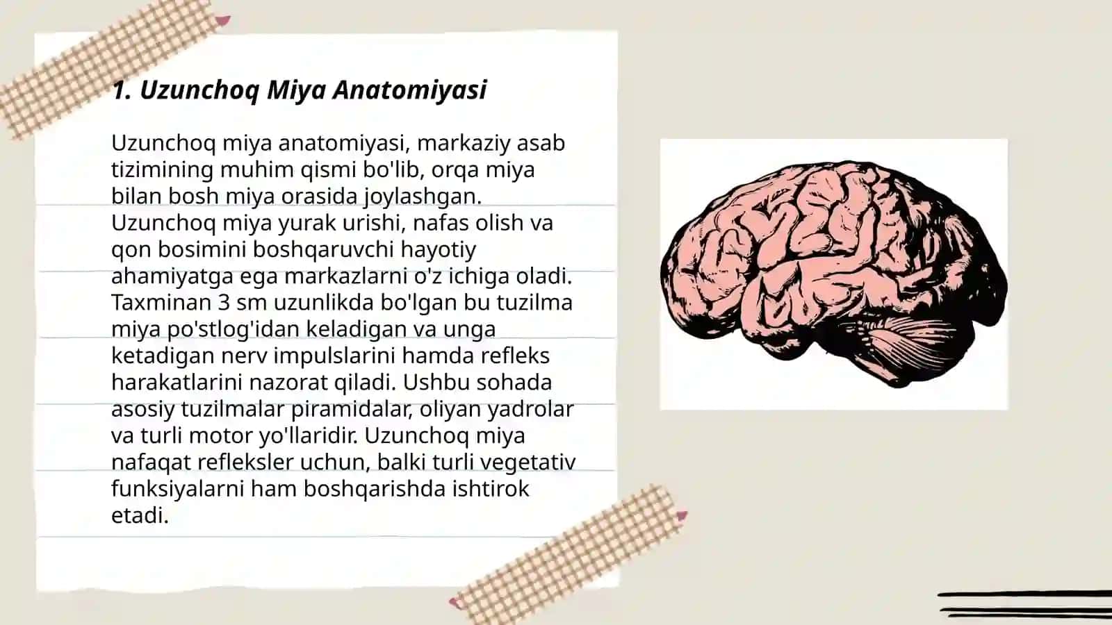 Uzunchoq Miya 3
