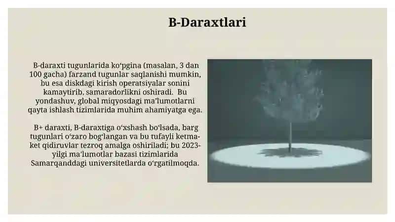 Muvazantlashtirilgan daraxitlar 3