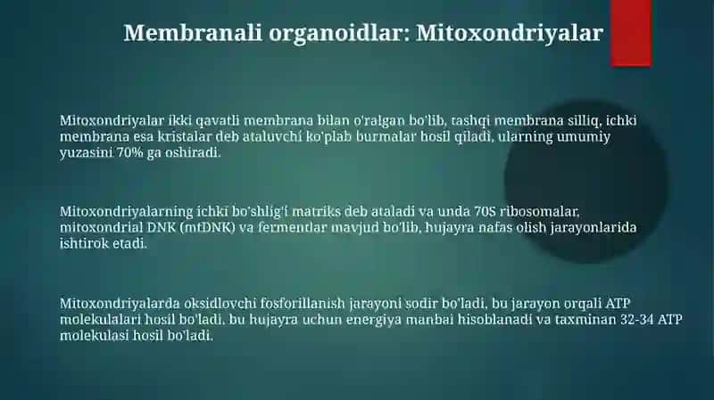 Eukariyot hujayralarning ultratrukturaviy tuzlishi 3