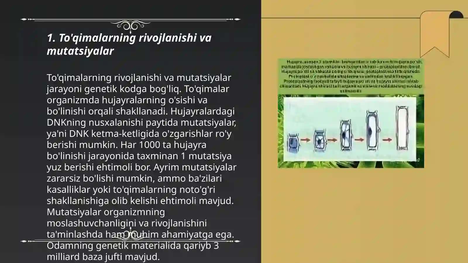 To'qimalarning rivojlanishi va mutatsiyalar 3