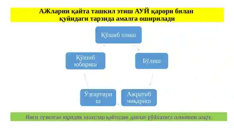 АКЦИЯДОРЛИК ЖАМИЯТЛАРИНИ ҚАЙТА ТАШКИЛ ЭТИШ ВА ТУГАТИШ 3