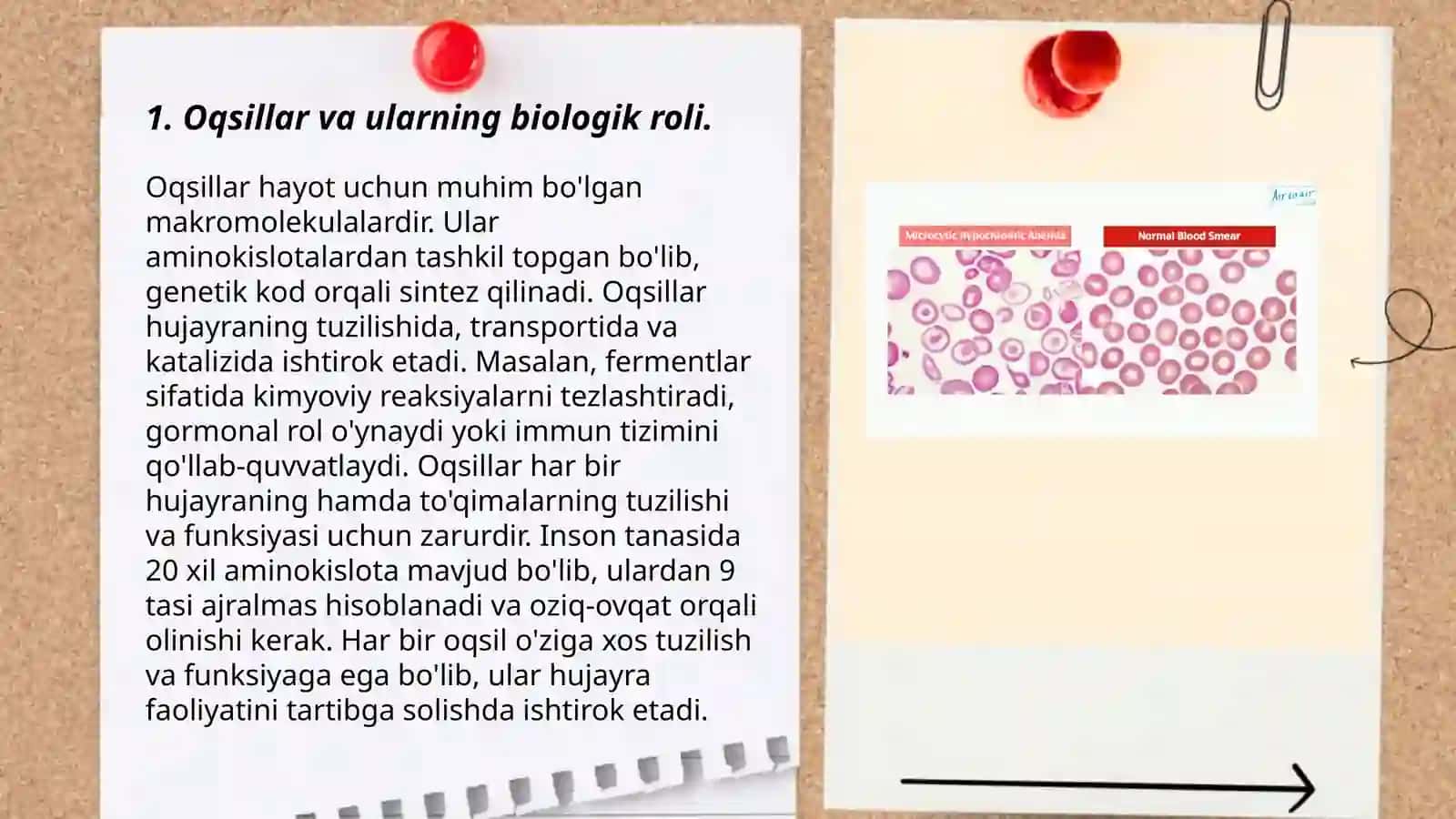 Mis B12 B9 yetishmivchiliguda rivojlanadigan anemiyalarning bioximyoviy asoslari 3