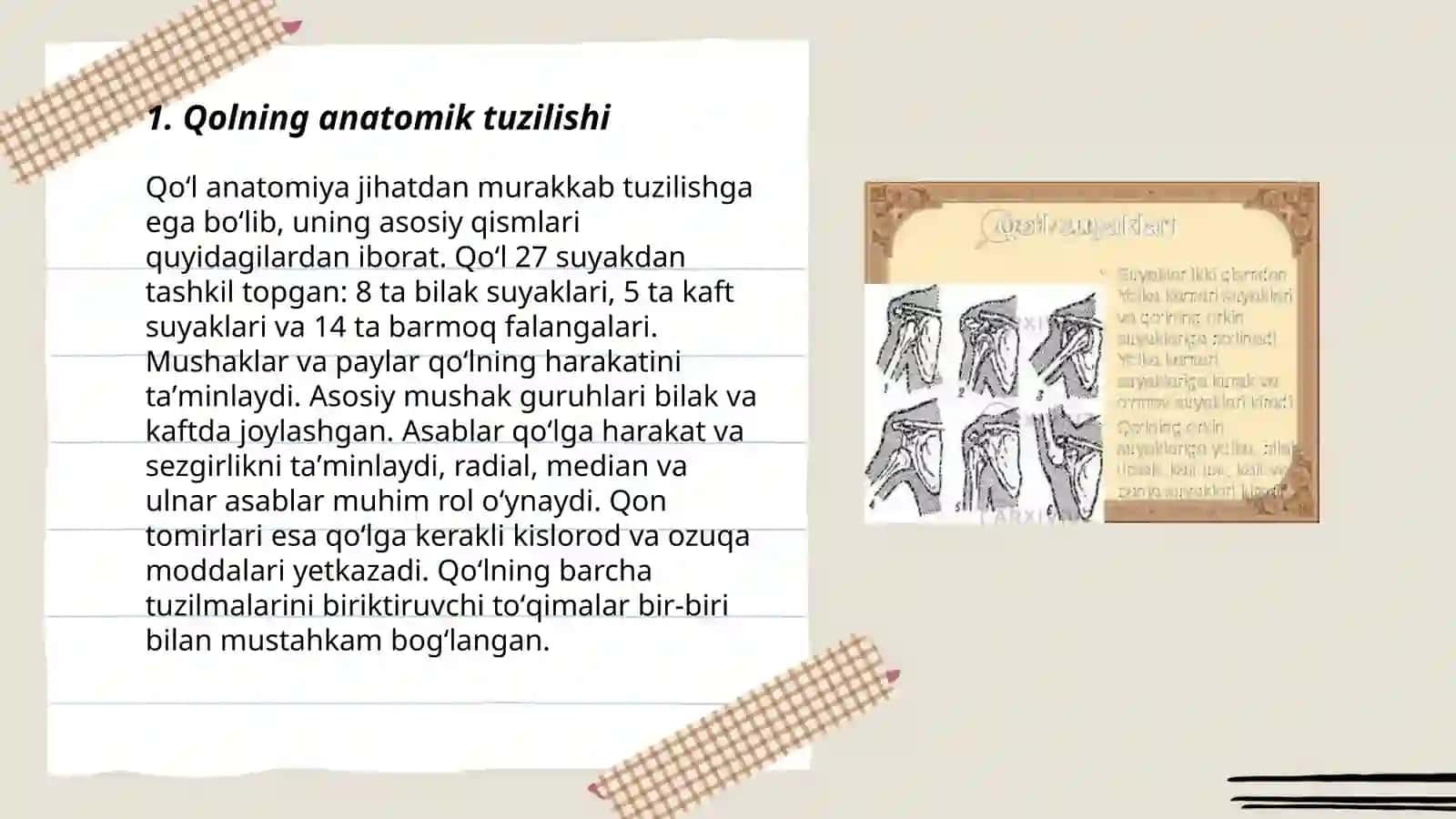 Qolning erkin suyaklar birlashmasi 3