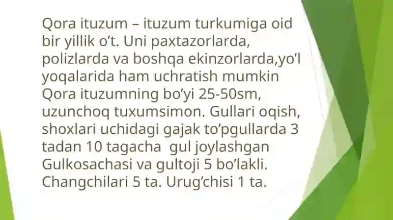 Ituzumdoshlar oilasi 3