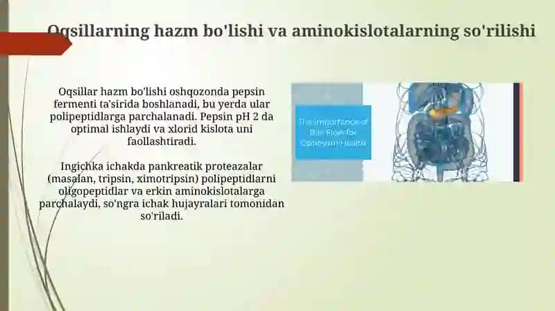 Odam organizimi da oqsillarning biokimyoviy ozgarishi 3