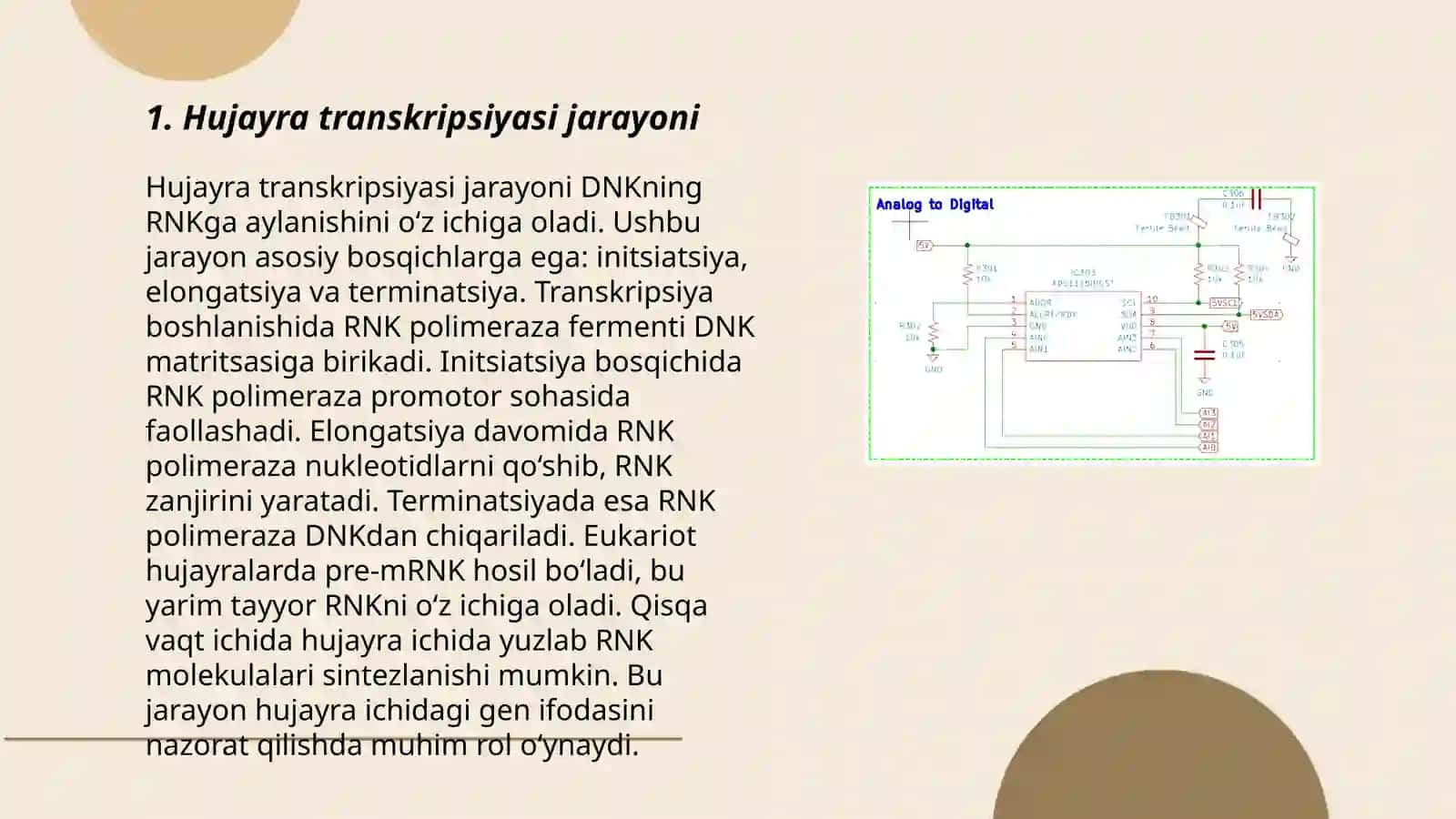 Hujayrada transkripsiya,translyatsiya va replikatsiya jarayonlari 3
