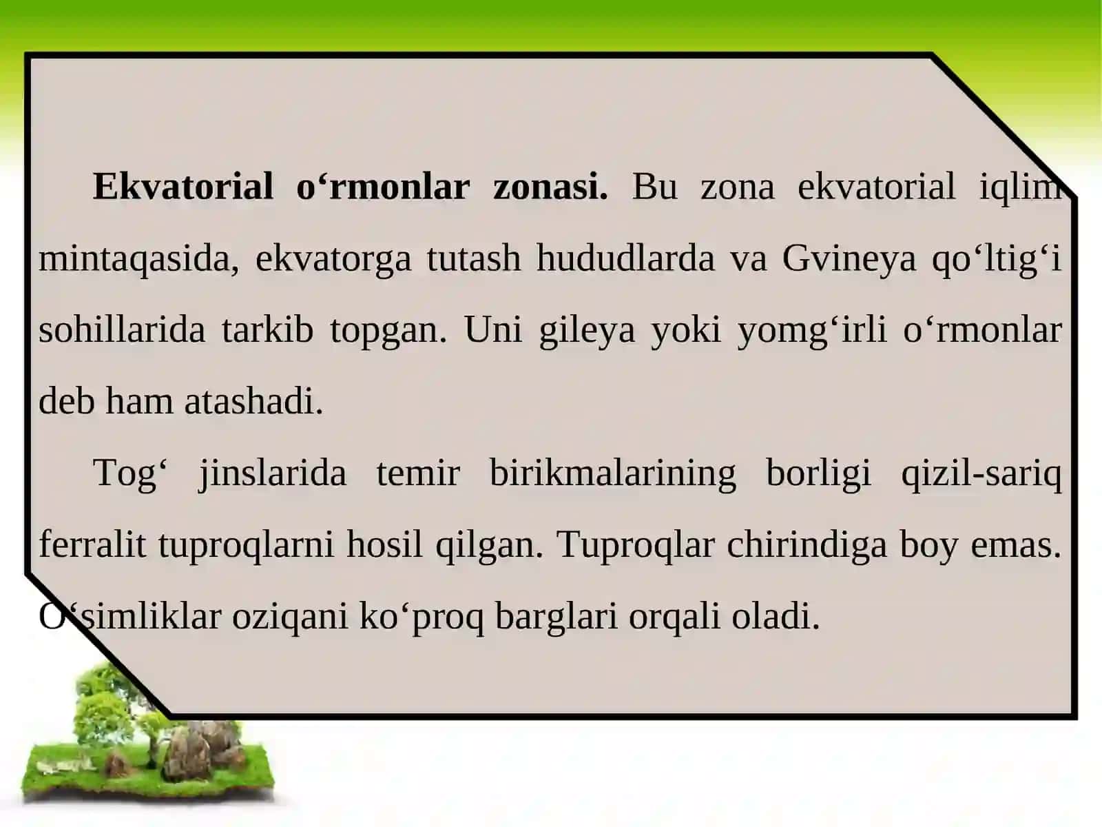 Afrika materigida doimiy sernam ekvatorial o‘rmonlar zonasi 3