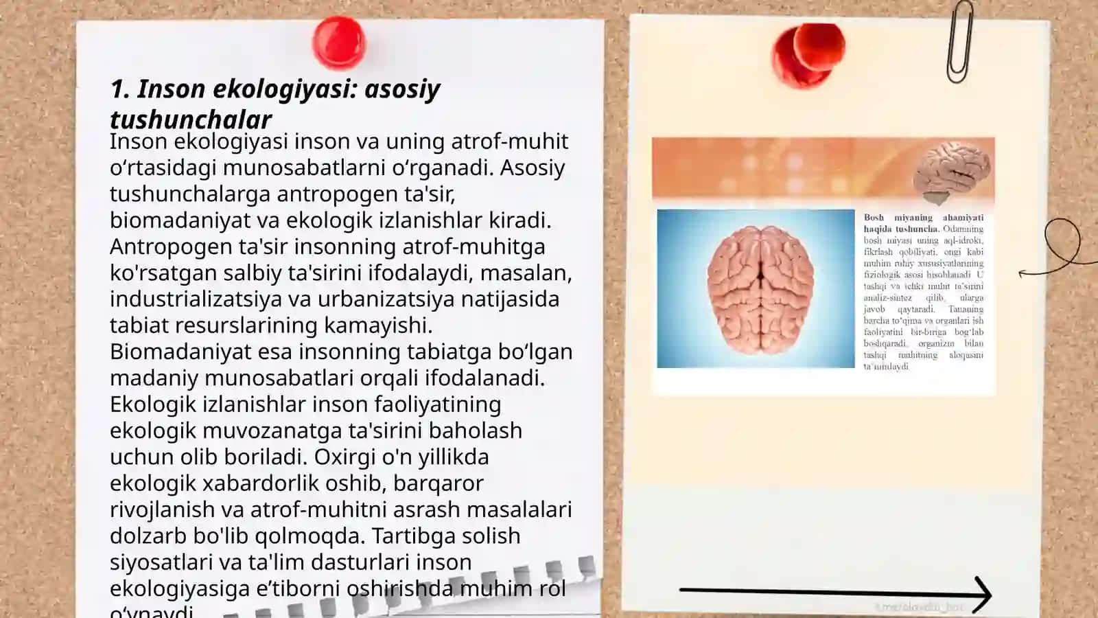 Inson Ekologiyasi va Aholi Salomatligi 3