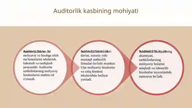 Auditorlik kasbiga qo’yiladigan malakaviy talablar 3