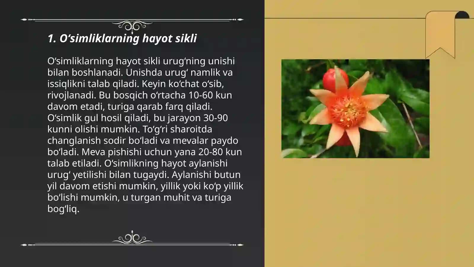 Oʻsimliklar dunyosi 3