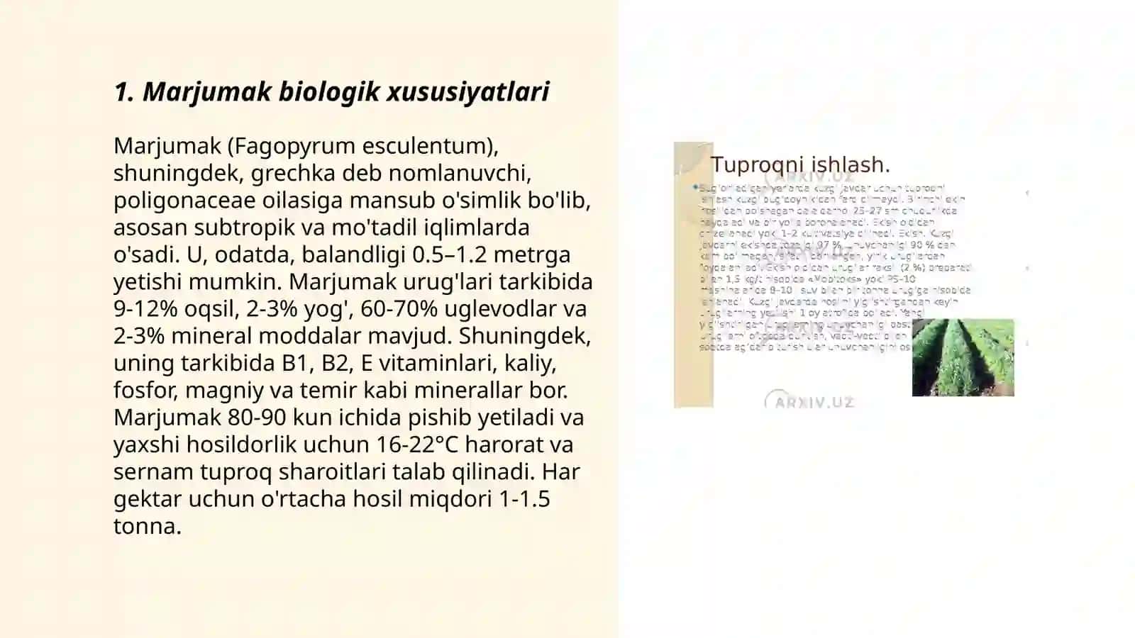 Marjumak biologiyasi va yetishtirish texnologiyasi 3