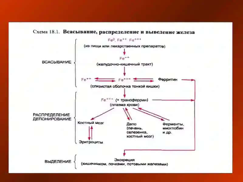 ҚОН СИСТЕМАСИГА ТАЪСИР ЭТУВЧИ ВОСИТАЛAР 3