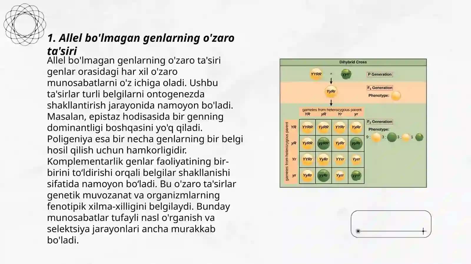 Allel bo'lmagan genlarning o'zaro ta'siri 3