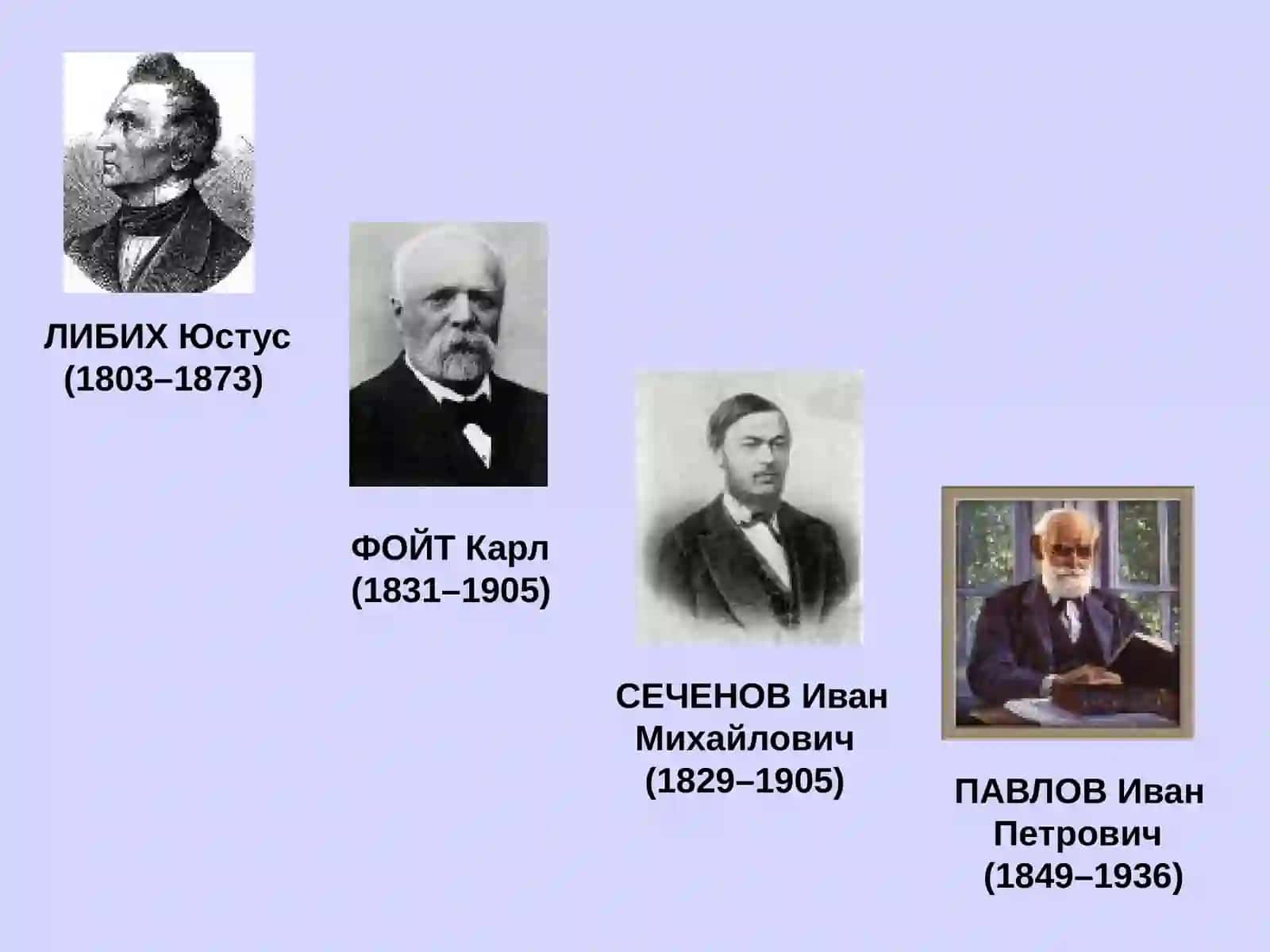 ОСНОВЫ ФИЗИОЛОГИЯ ПИЩЕВАРЕНИЯ И ОБМЕНА ВЕЩЕСТВО 3