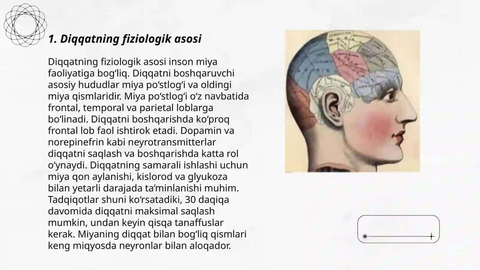Diqqat haqida tushuncha va uning nerv fiziologik asoslari 3