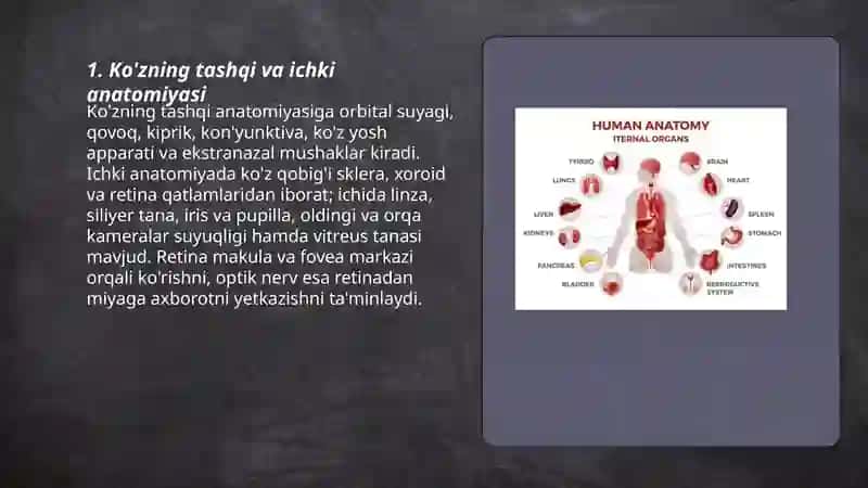 Inson sezgi organlari anatomiyasi va fiziologiyasi 3