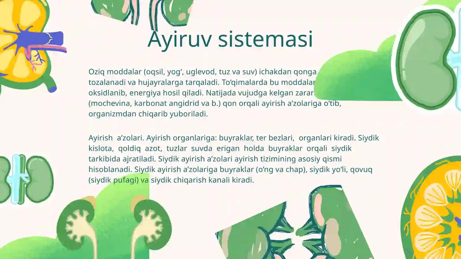 Ayiruv sistemasi.Buyraklar fiziologiyasi 3