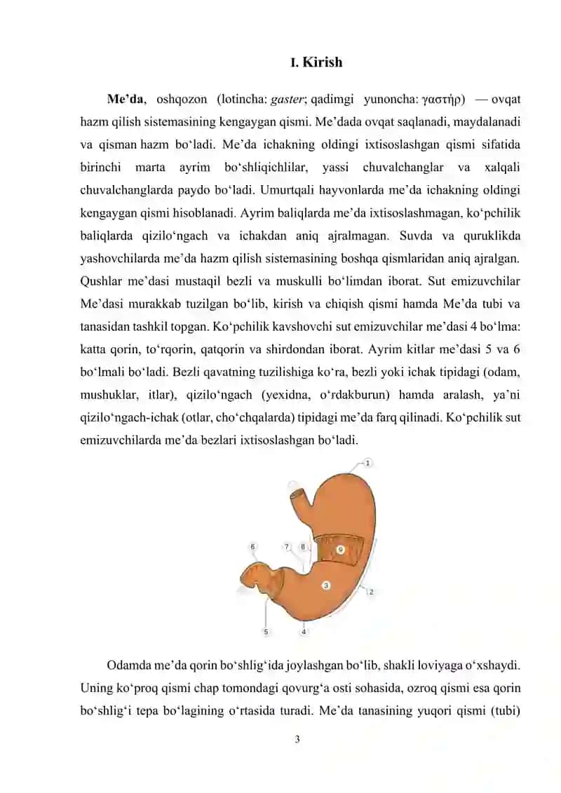 Meda ichak yollari muammolarida bemorlarga hamshiralik parvarishi 3