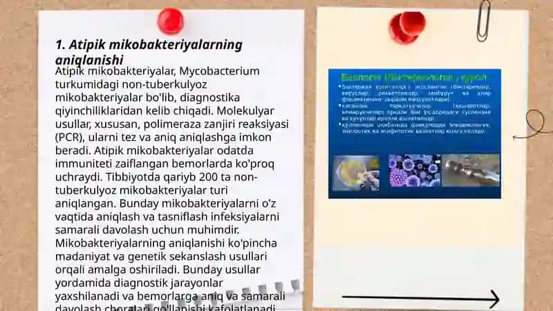 Atipik mikobakteriyalar va ularning amaliyotdagi ahamiyati 3