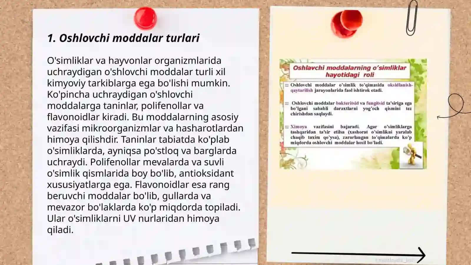 Oshlovchi moddalar saqlovchi dorivor oʻsimliklarning fitokimyoviy tahlili 3
