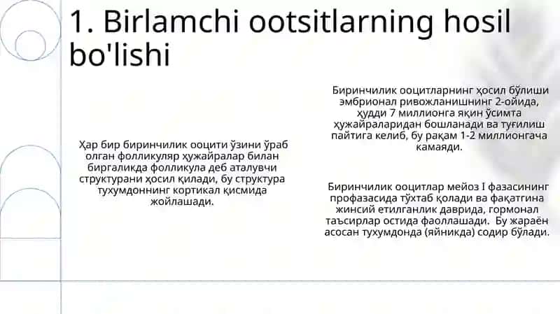 Spermatogenez va ovogenez etaplari 3