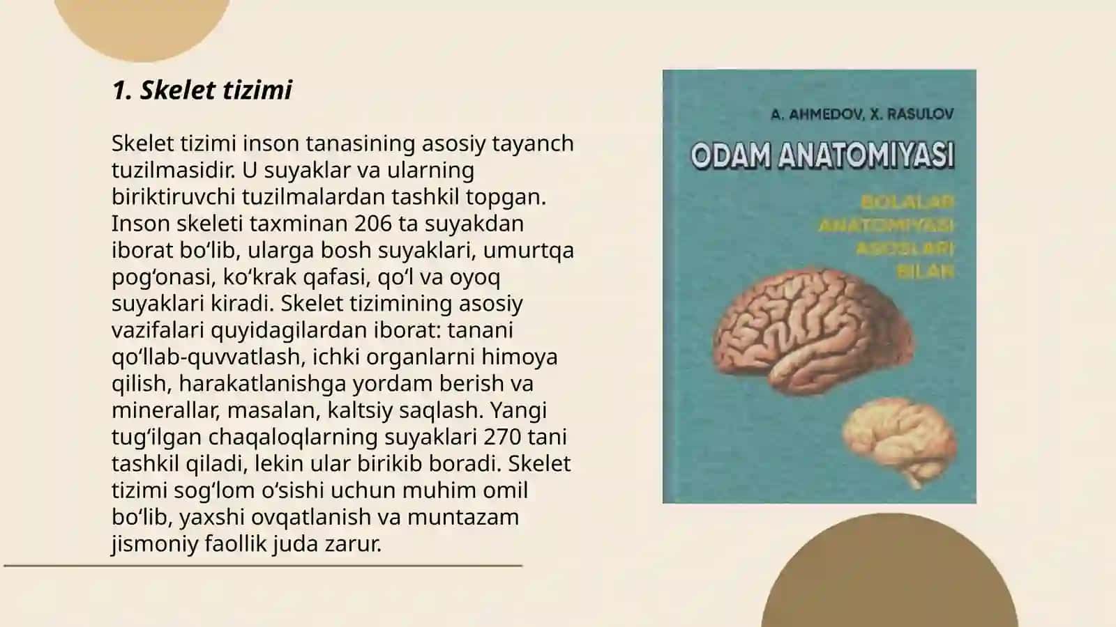 Odam anatomiyasi 3